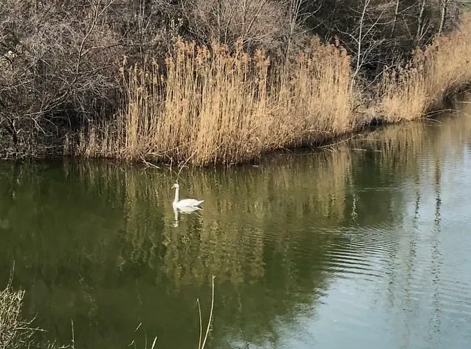 Appartamento Lake Residence Dunajská Streda